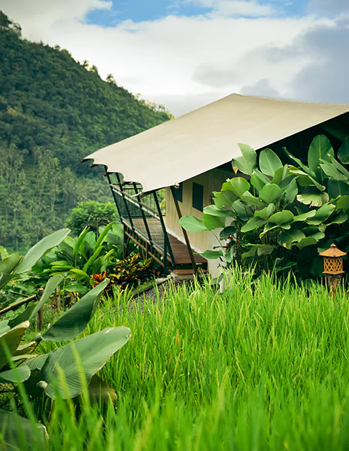 Luxe tent in weelderige jungle tussen rijstvelden en groene bergen op Bali