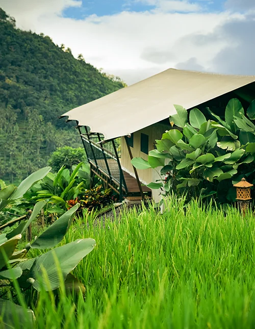 Luxe tent in weelderige jungle tussen rijstvelden en groene bergen op Bali