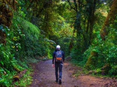 Man die over een pad loopt in Monteverde, Costa Rica