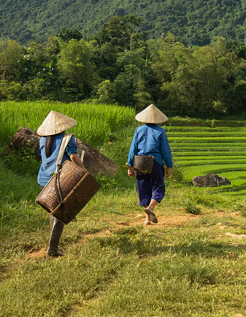 Twee vrouwen op weg naar hun werk op de rijstvelden van het natuurreservaat Pu Luong in Vietnam