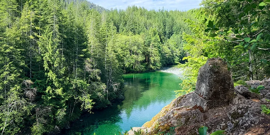 Prachtig landschap met groene bomen en een rivier op Vancouver Island in Canada