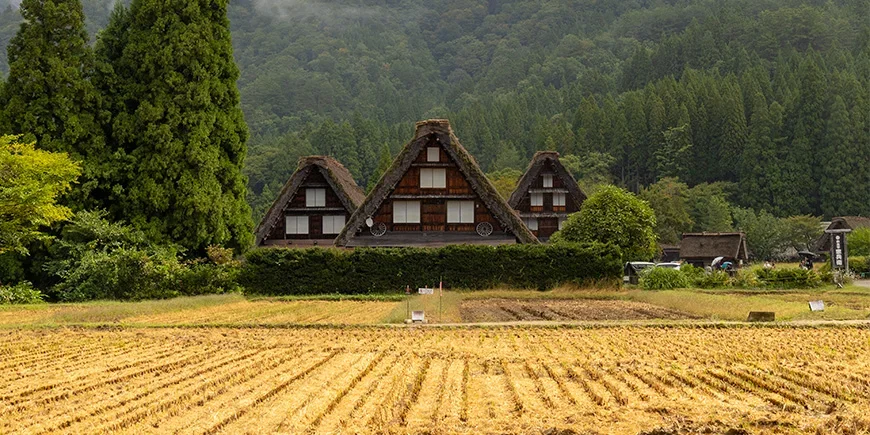 De beroemde gassho-zukuri-huizen in Shirakawa-Go in de Japanse Alpen
