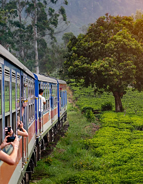 Treinreis van Nuwara Eliya naar Kandy door theeplantages in de hooglanden van Sri Lanka