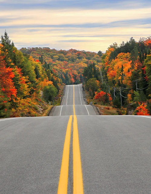 Een weg door Algonquin Provincial Park in de herfst, Ontario, Canada