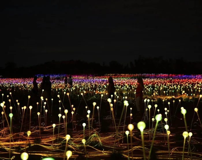 Field of Light bij Uluru in Australië, een lichtinstallatie met duizenden kleurrijke lichtjes in het woestijnlandschap