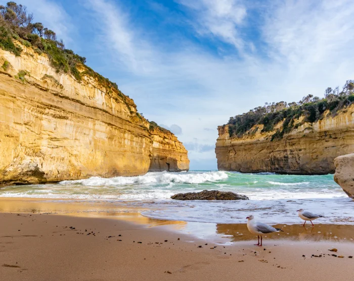 Loch Ard Gorge langs de Great Ocean Road in Australië, met goudkleurige kliffen, een zandstrand en golven uit zee