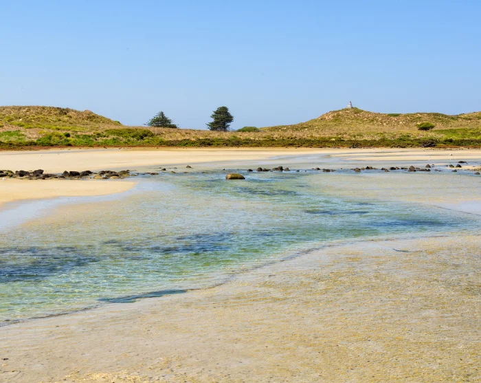 Griffiths Island bij Port Fairy in Australië, met ondiep, helder water, een zandstrand en duinen op de achtergrond