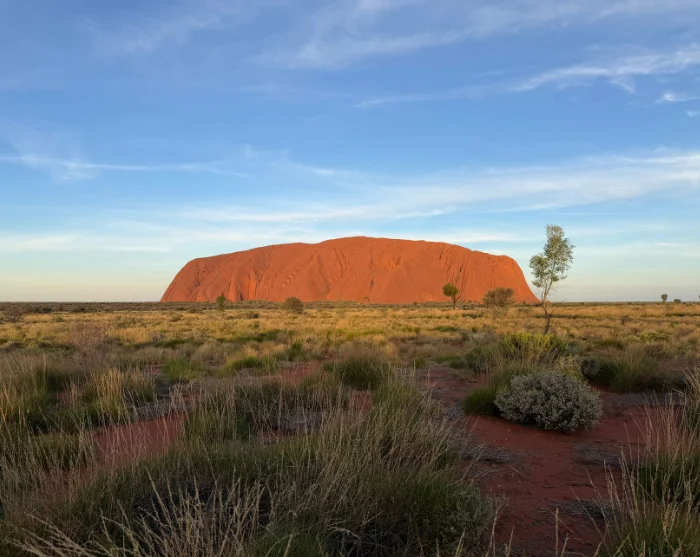 Uluru in Australië bij zonsondergang, de rode rots omringd door gras, struiken en enkele bomen