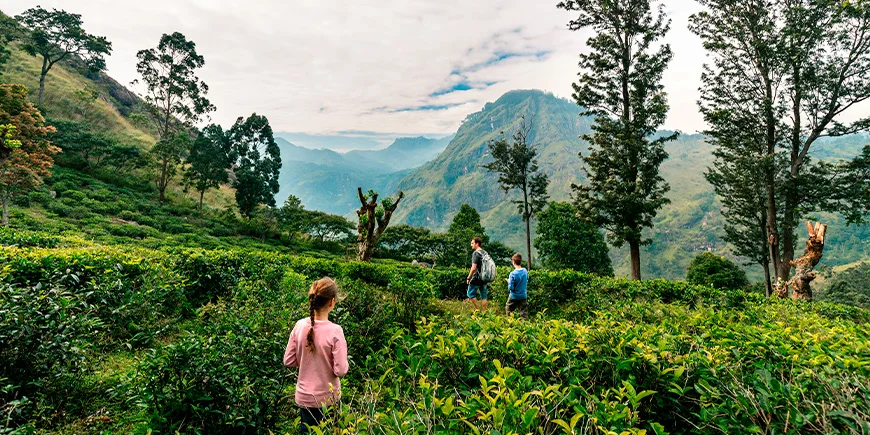 Vader met twee kinderen in Ella in Sri Lanka