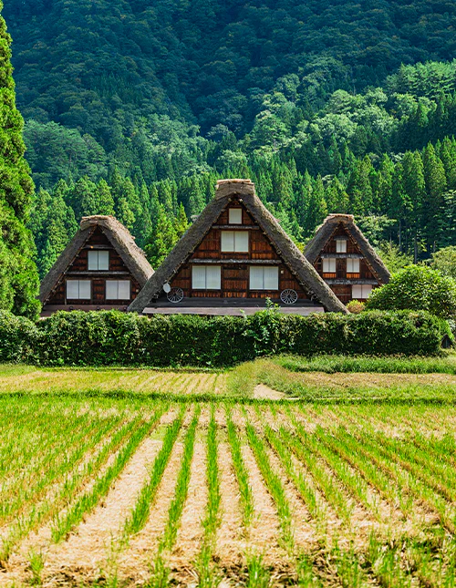 Shirakawa-go in de herfst