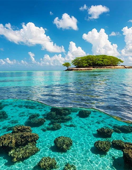Foto van het prachtige turkooisblauwe water in Malindi Marine Park