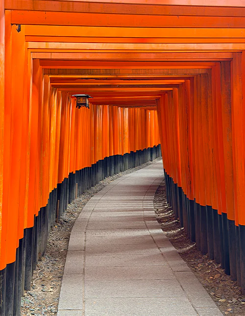 Torii-poort bij Fushimi Inari in Kyoto, Japan