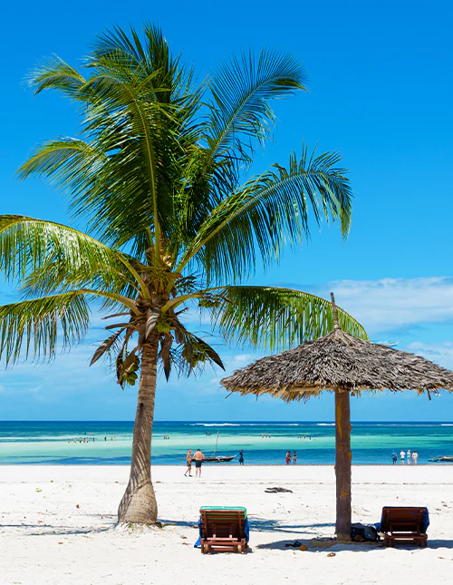 Prachtig wit zandstrand, omzoomd door palmen, in Mombasa