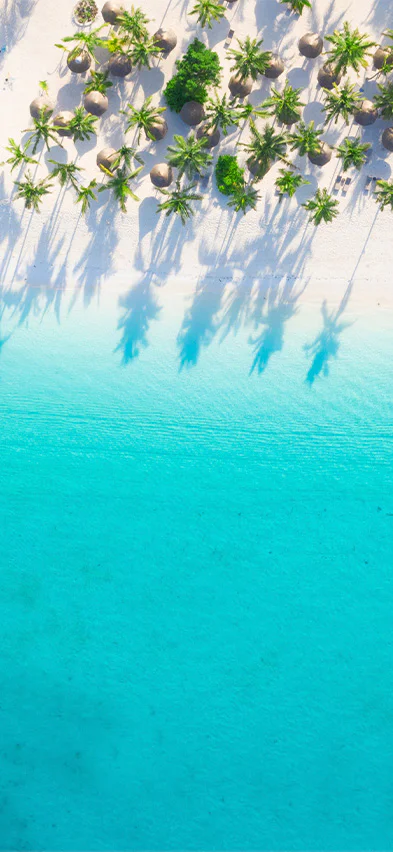 Strand van Zanzibar gezien vanuit een drone