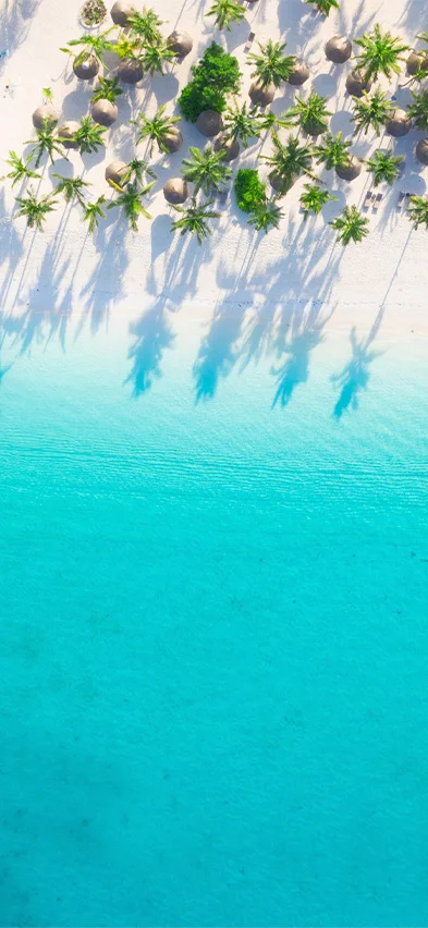Strand van Zanzibar gezien vanuit een drone