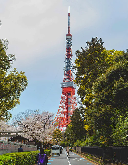 De Tokyo Tower tijdens het kersenbloesemseizoen in Tokio, Japan