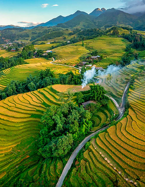 Luchtfoto van rijstvelden of rijstterrassen, Sapa, Vietnam.