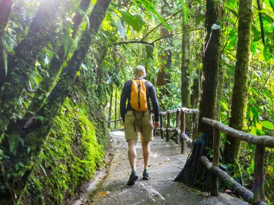 Een man die door een van de weelderig groene nationale parken van Costa Rica wandelt
