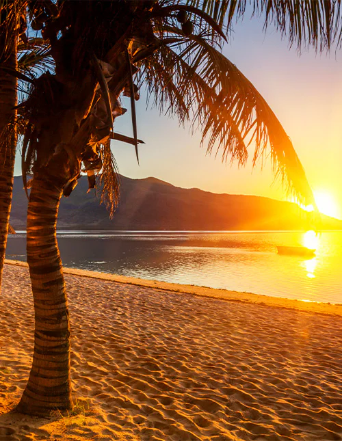 Prachtig strand met palmbomen in Mauritius bij zonsondergang