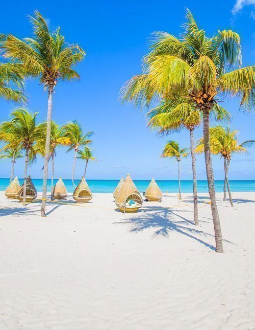 Prachtig palmomzoomd strand in Varadero, Cuba