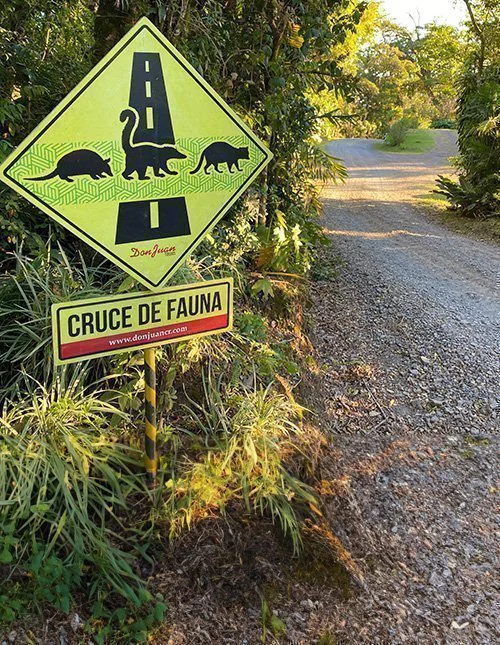 Waarschuwingsbord voor overstekende dieren op een onverharde weg in Costa Rica