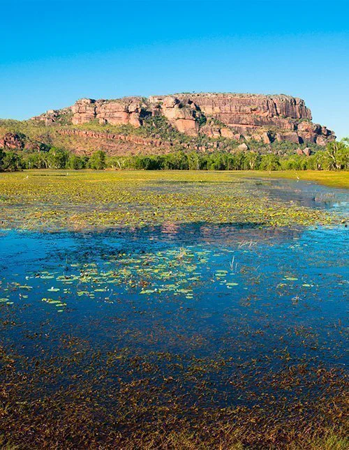 Uitzicht op Nourlangie vanaf Anbangbang Billabong, Kakadu nationaal park, Australië
