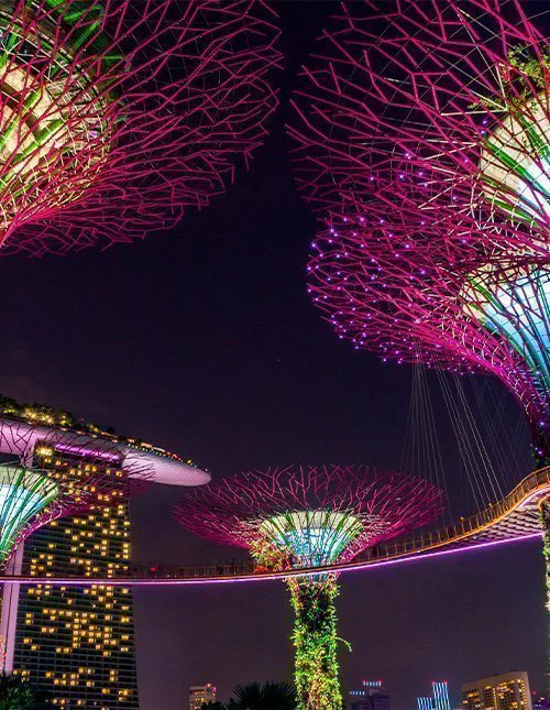 De verlichte Supertrees in Singapore laten de nachtelijke hemel oplichten.