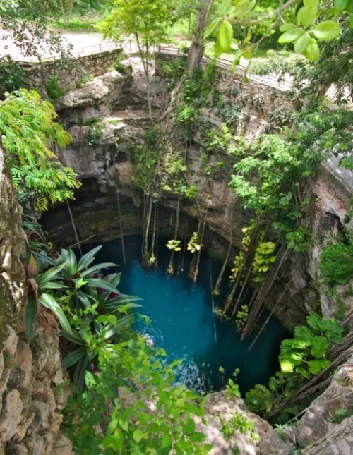 De weelderige Cenote Oxman in Mexico