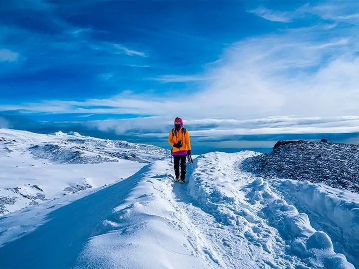 Machame-route, safari & strandvakantie op Zanzibar