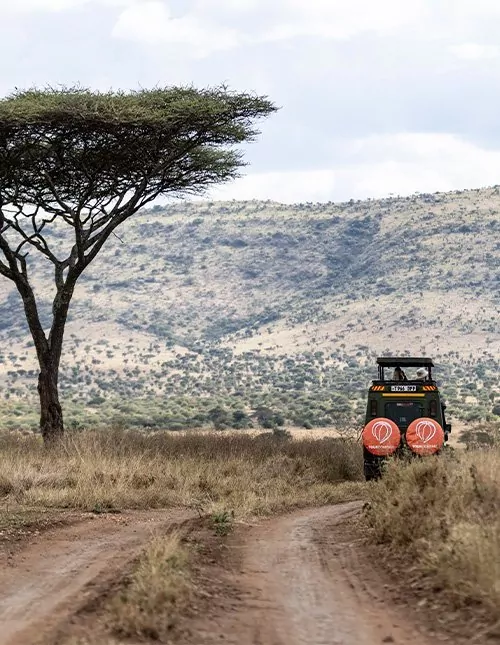Safari in de Serengeti & Ngorongoro