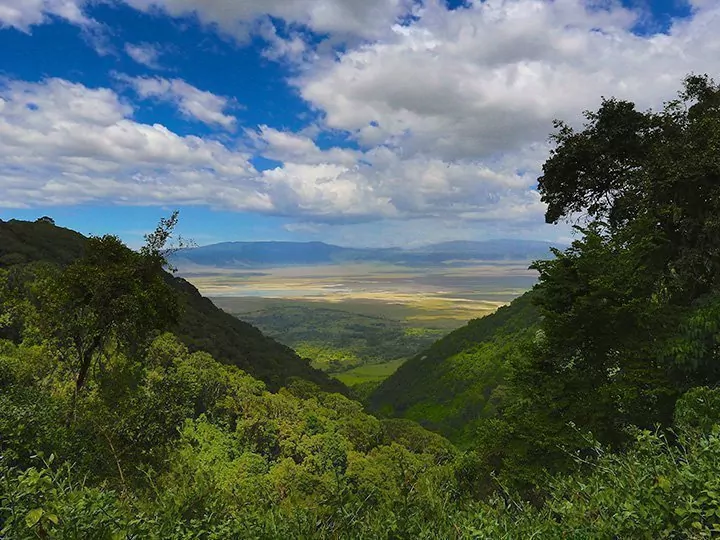 Safari in de Serengeti & Ngorongoro en strandvakantie op Zanzibar