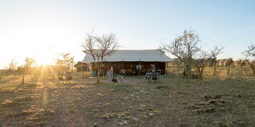 Serengeti Wildebeest Camp