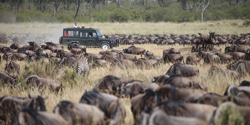 Safariwagen