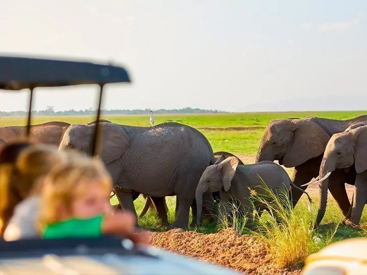 Gezinssafari in Kenia