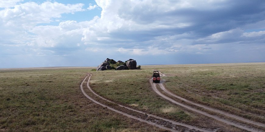 TourCompass auto rijden in Serengeti National Park