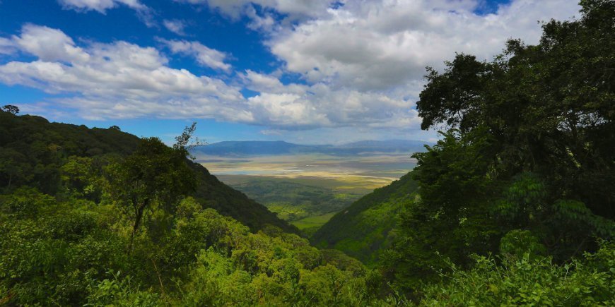 De Ngorongoro-krater