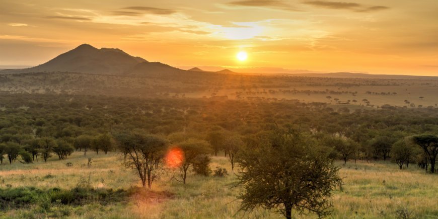 zon over serengeti