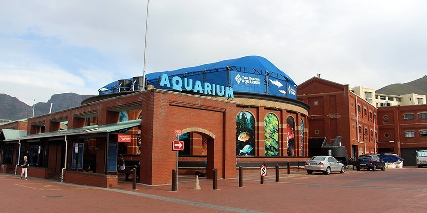 aquarium