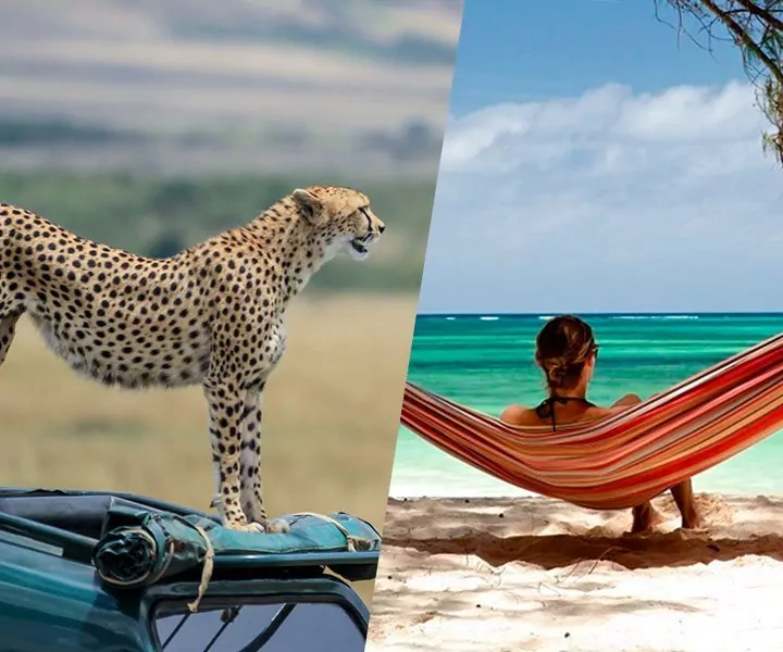 Safari en strandvakantie