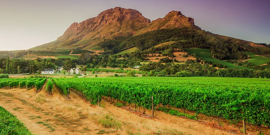 stellenbosch