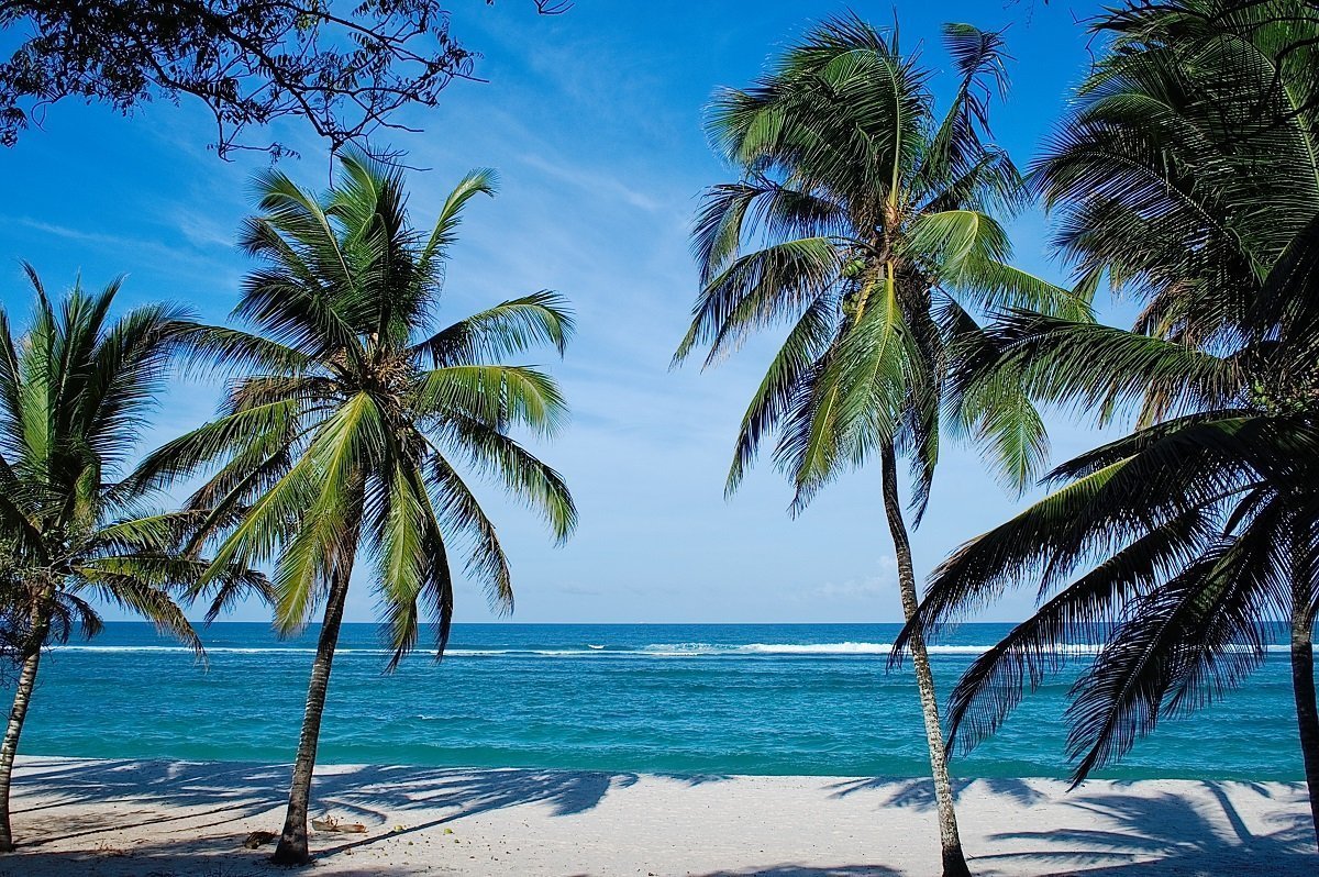 Palmen op het strand in Mombasa