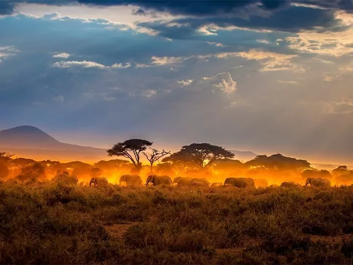 Karibu Kenia & strandvakantie in Mombasa