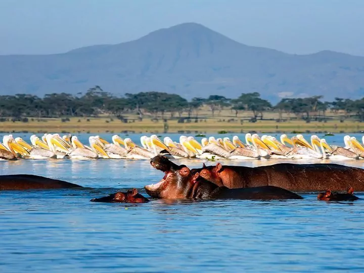 Karibu Kenia & strandvakantie op Zanzibar