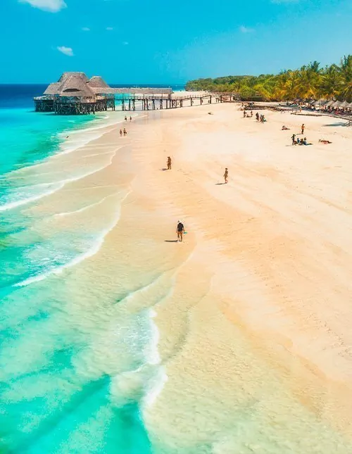 Strandvakantie op Zanzibar en safari in Nyerere National Park