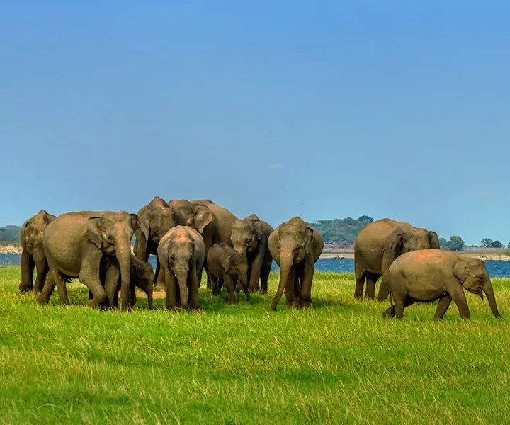 Sri Lanka