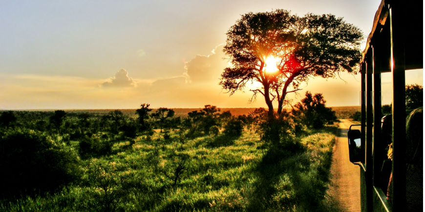 Game drive bij zonsondergang in Zuid-Afrika