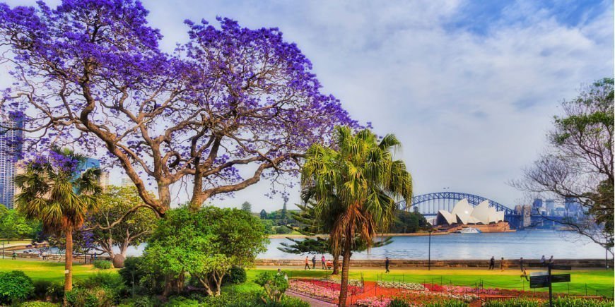 Voorjaar in Sydney