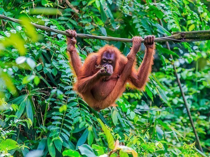 Indonesië - Reisinformatie