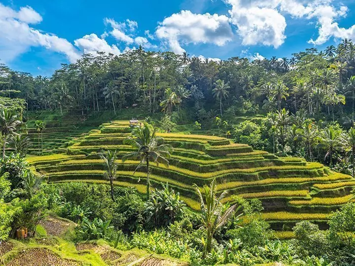 Hoogtepunten van Bali & strandvakantie in Sanur