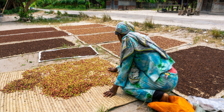Een vrouw in een dorp sorteert specerijen 